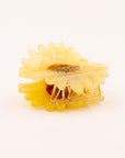 Claw Clips - Coucou Suzette