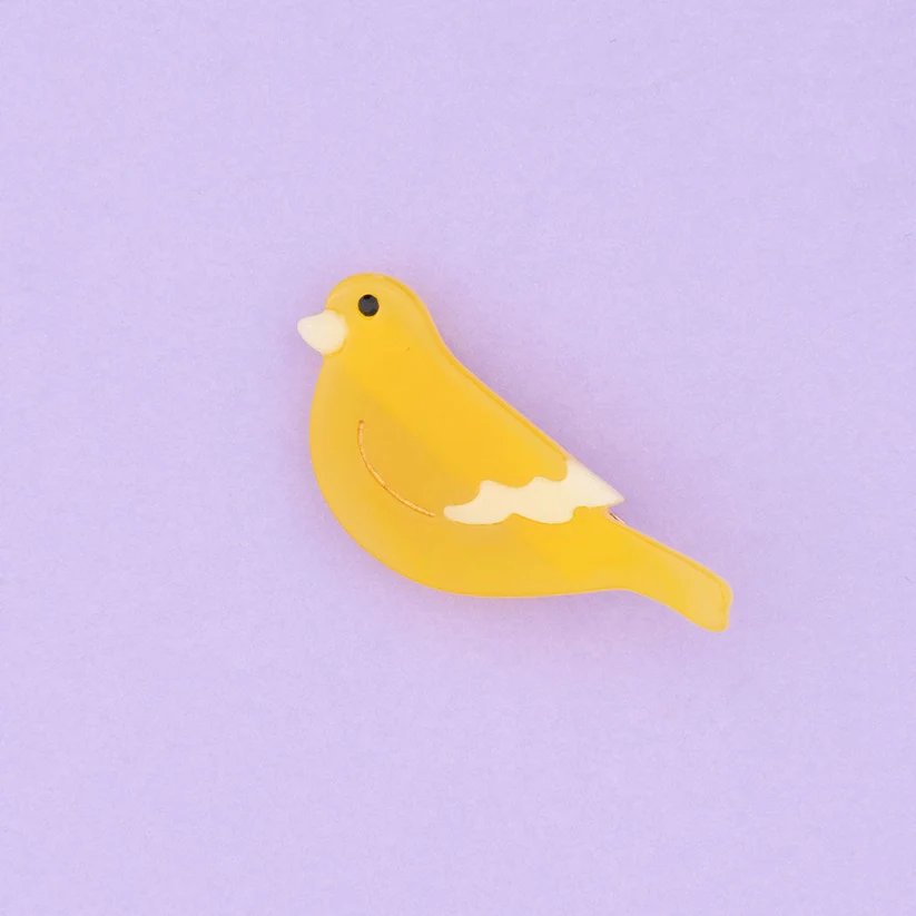 Hair Clips - Coucou Suzette