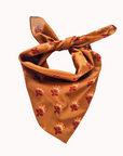 Bandanas - Seconde Vie