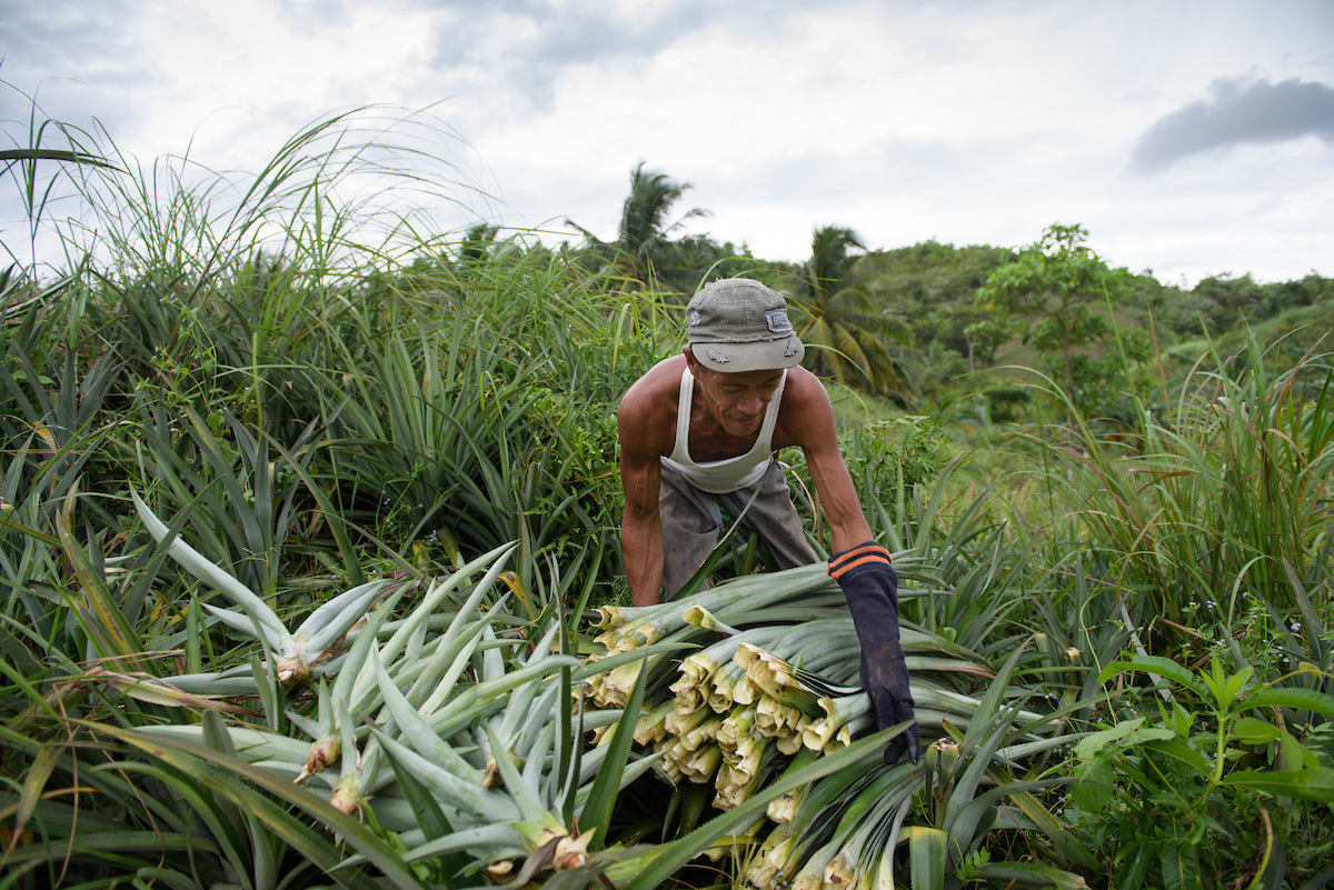 Sevigny - Piñatex Crossbody Bag
