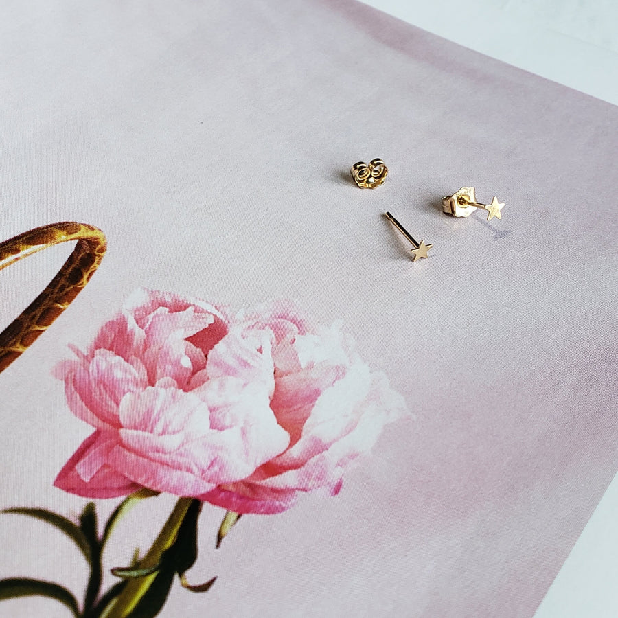 Mini Star Studs - Reca